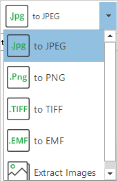 "to JPEG" option of PDFtoImage Converter.