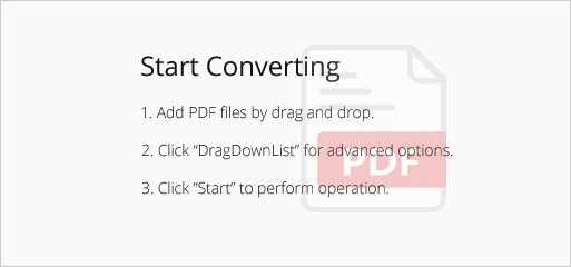 Workspace of PDFtoImage Converter where files are dragged and dropped.