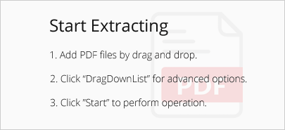 Workspace of PDFtoTXT Converter where files are dragged and dropped.
