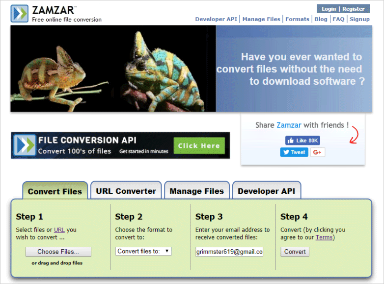 "zamzar.com" site.